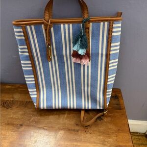 Fossil Striped Blue and Tan Backpack